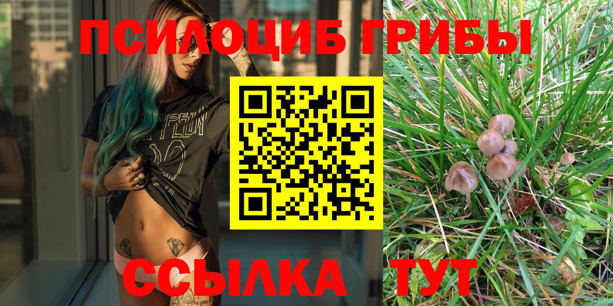 Псилоцибиновые грибы MAGIC MUSHROOMS Канаш